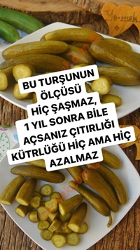 Salatalık Turşusu