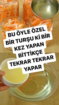 Vietnam Turşusu