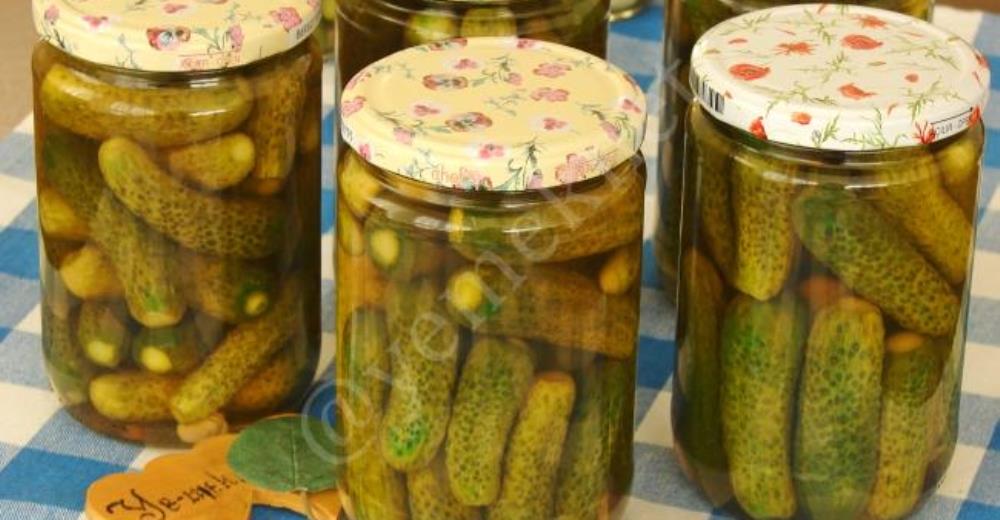 Kornişon Salatalık Turşusu