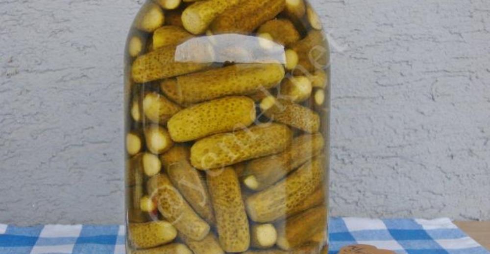 Soğuk Suyla Salatalık Turşusu