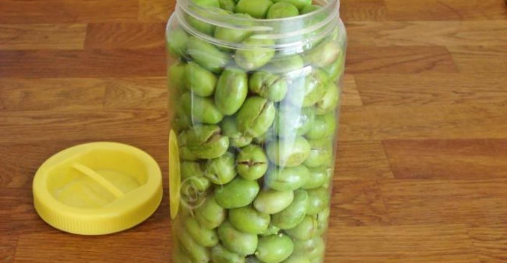 Kırma Yeşil Zeytin