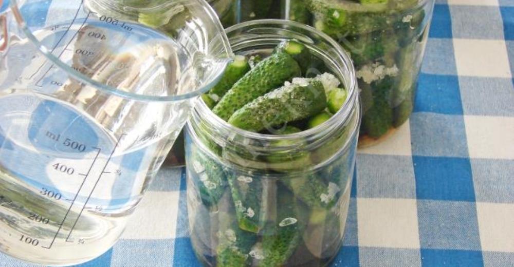 Kornişon Salatalık Turşusu