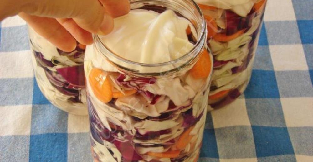 Sirkesiz Lahana Turşusu