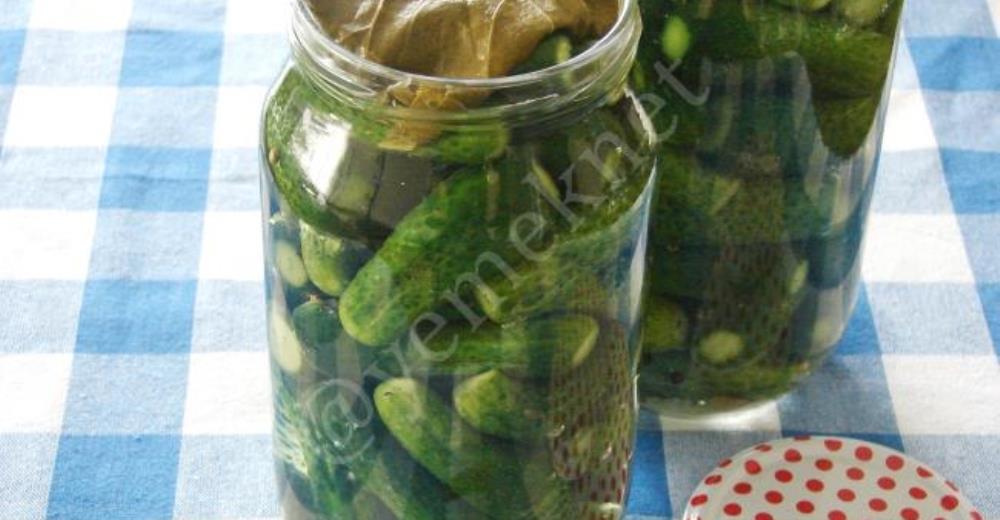 Sirkesiz Limonsuz Kornişon Turşusu