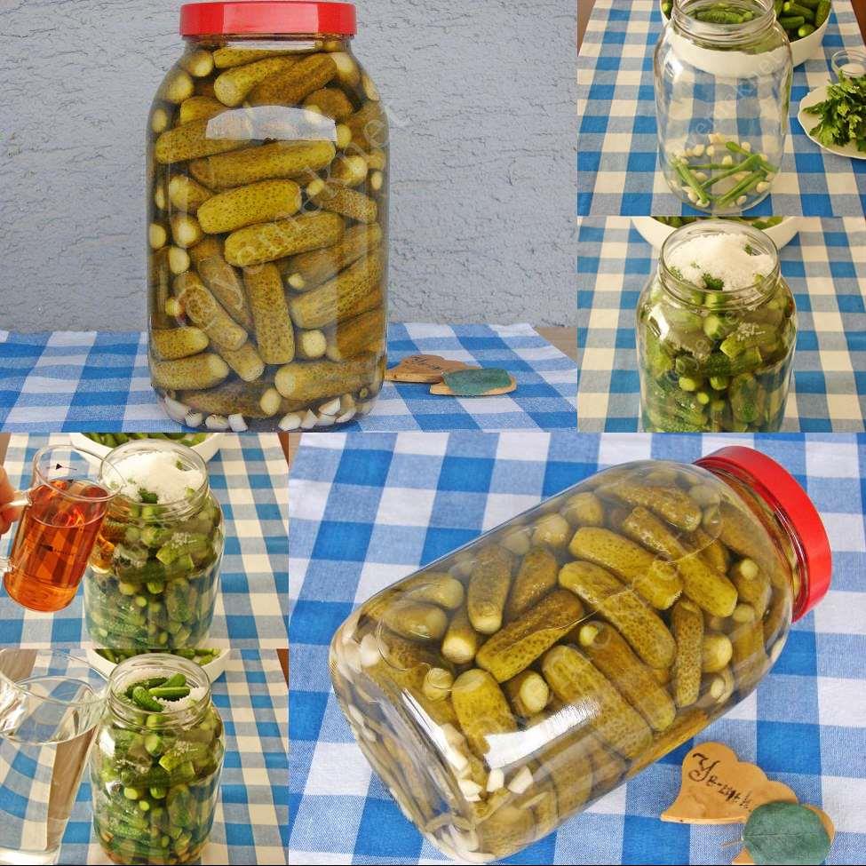 Soğuk Suyla Salatalık Turşusu