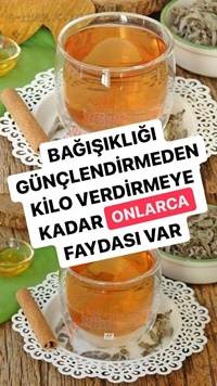 Ada Çayı