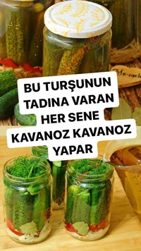 Alman Tipi Salatalık Turşusu