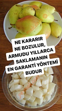 Armut Konservesi