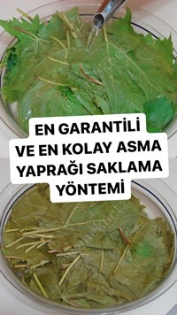 Asma Yaprağı Buzlukta Nasıl Saklanır