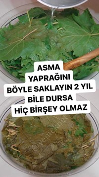 Asma Yaprağı Salamurası
