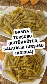 Bamya Turşusu