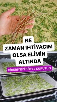 Biberiye Nasıl Kurutulur