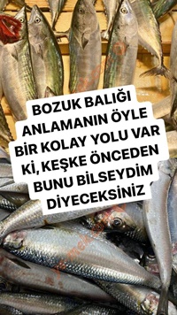 Bozulan Balık Nasıl Anlaşılır?