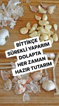 Buzdolabında Soyulmuş Sarımsak Saklama