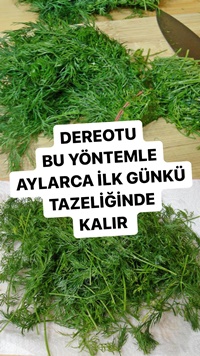 Buzlukta Dereotu Saklama