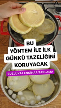 Buzlukta Enginar Saklama