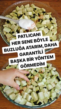 Buzlukta Patlıcan Saklama