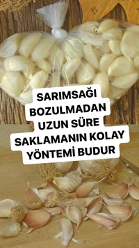 Buzlukta Sarımsak Saklama Yöntemi
