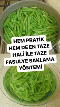 Buzlukta Taze Fasulye Saklama Yöntemi