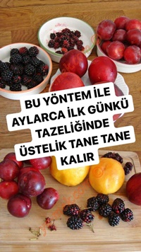 Buzlukta Taze Meyve Saklama