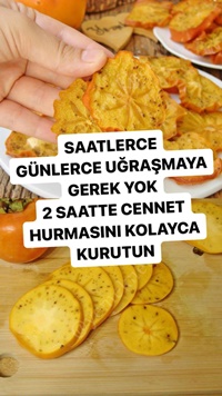 Cennet Hurması Kurusu