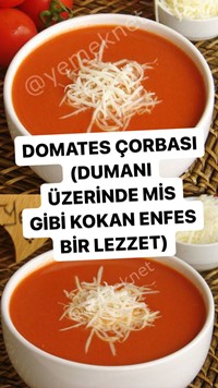 Domates Çorbası