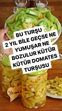 Domates Turşusu
