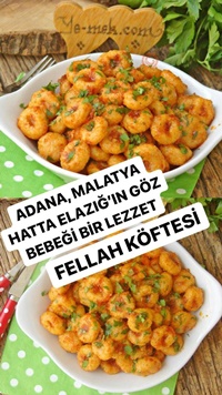 Fellah Köftesi