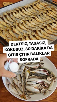 Fırında İstavrit