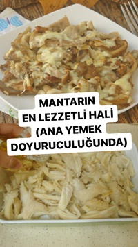 Fırında İstiridye Mantarı