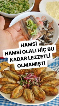 Hamsi Kuşu