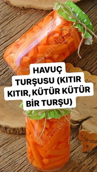 Havuç Turşusu