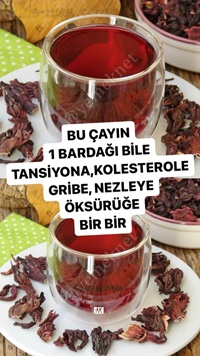 Hibiskus Çayı