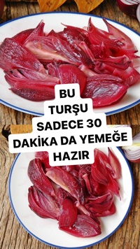 Hızlı Soğan Turşusu