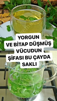 Isırgan Otu Çayı