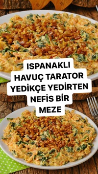 Ispanaklı Havuç Tarator