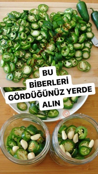 Jalapeno Biber Turşusu