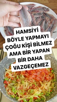 Kağıtta Hamsi