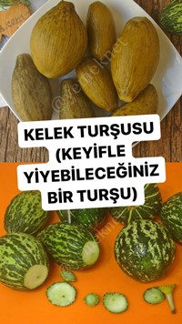 Kelek Turşusu