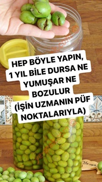 Kırma Zeytin