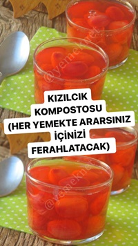 Kızılcık Kompostosu