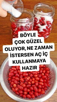 Kızılcık Konservesi