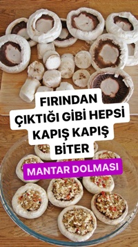 Mantar Dolması