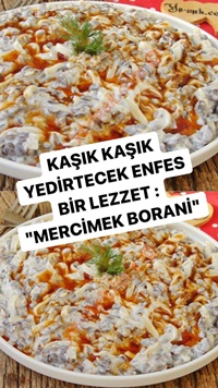 Mercimek Borani