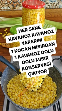 Mısır Konservesi