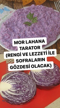 Mor Lahana Tarator