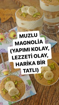 Muzlu Magnolia