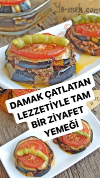 Patlıcan Oturtma