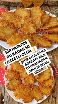 Rendelenmiş Patates Kızartması