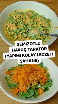 Semizotlu Havuç Tarator